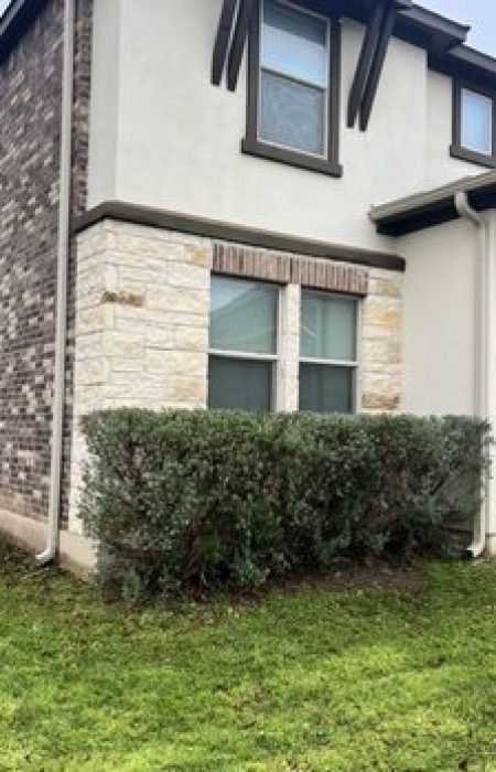 bush prunning services Bush trimming and prunning services leander texas